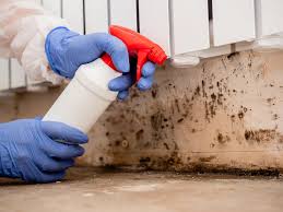 Best Commercial Mold Inspection  in Mercer, PA